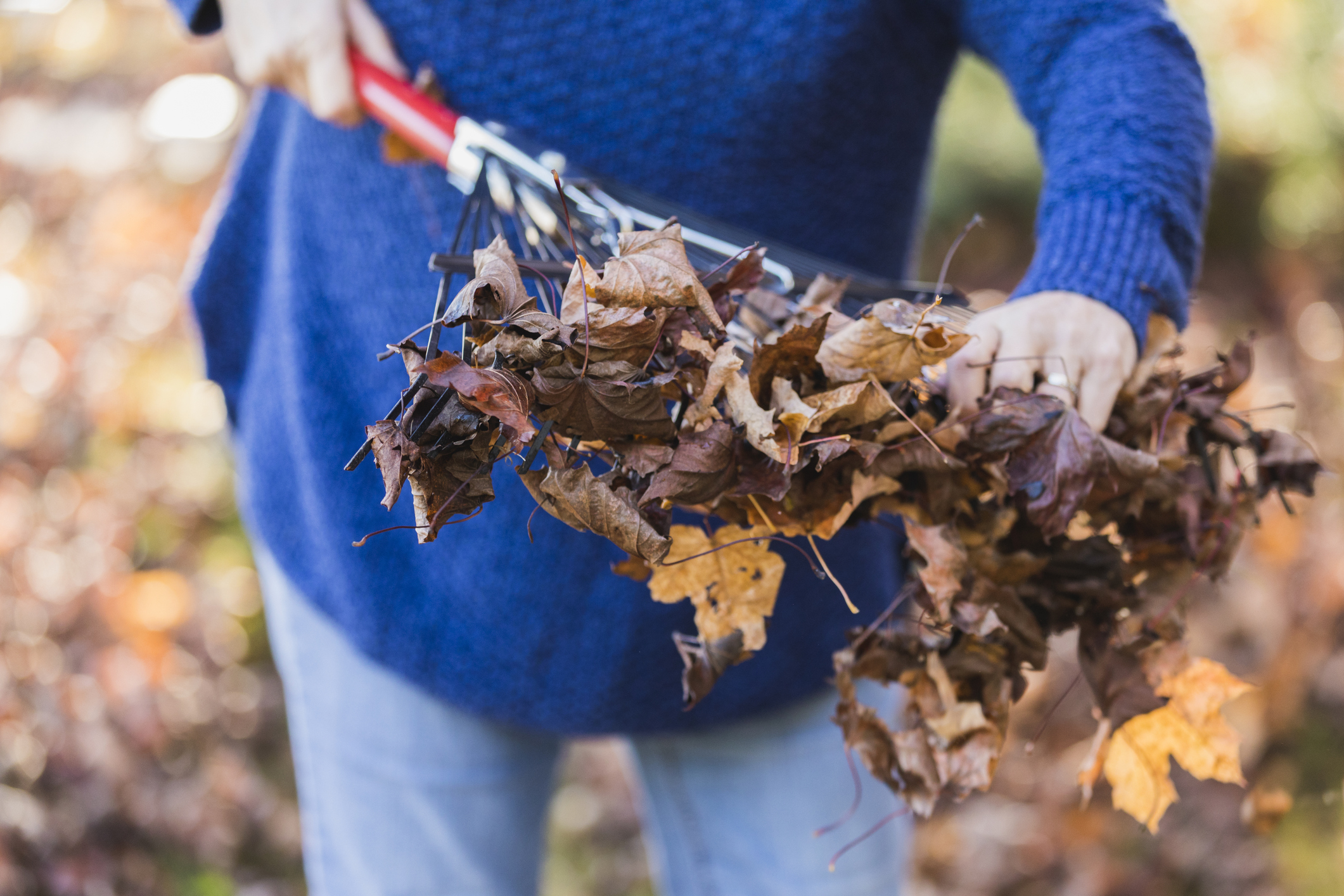 Your new home in Canton, Novi, or South Lyon probably looks especially beautiful with the fallen leaves all around it at this time of the year. See our Singh Homes blog page for indoor and outdoor home decor tips.