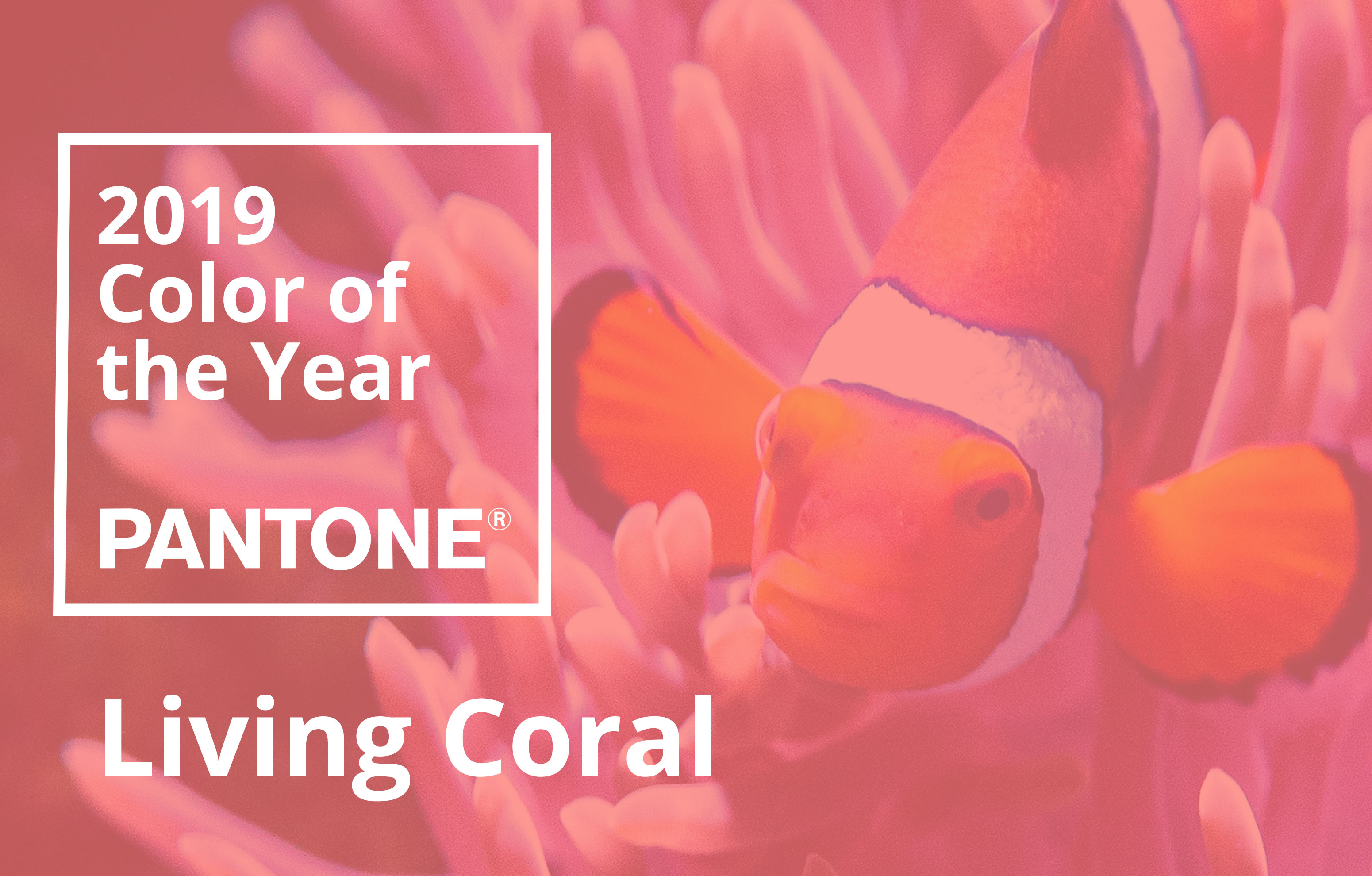 The 2019 Pantone Color of the Year is living coral. Other home design color trends include hazelnut, lilac gray, pewter, and pale blue.