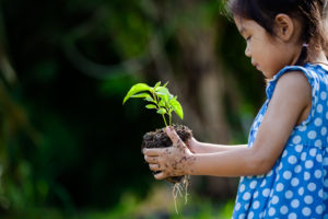 As a Singh homeowner, you can take pride in the fact that your new home in Novi, Canton, or South Lyon is 60 percent more energy efficient than some other homes. If you're still looking for Earth Day inspirations, planting plants like the young girl in this photo is doing is only one of many ways you can help promote Earth Day initiatives.