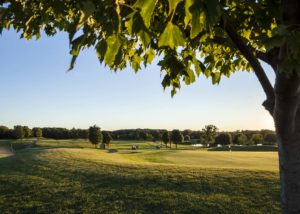 Being able to golf at many beautiful nearby golf courses, such as Singh's Links of Novi, is one of the many reasons we love living in Canton in the spring.